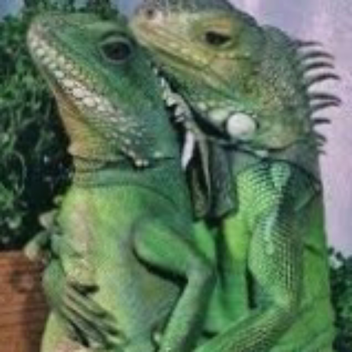 Лаборатория дружбы коллег