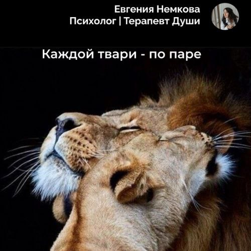 Каждой тваре – по паре | Сетка — социальная сеть от hh.ru