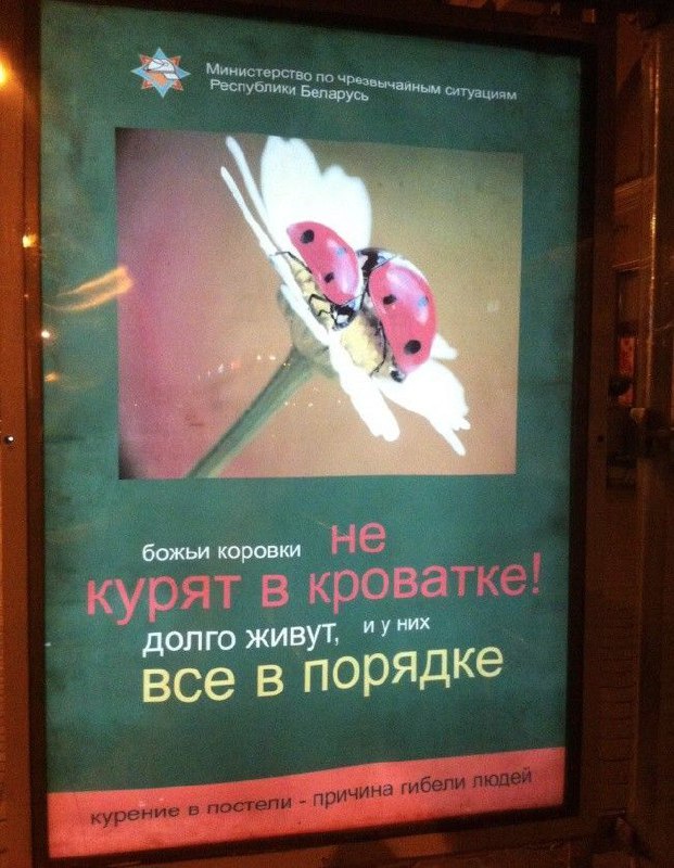 👍1 апреля — идеальный день, чтобы глянуть крутейшую белорусскую рекламу, которая разошлась в интернете | Сетка — социальная сеть от hh.ru