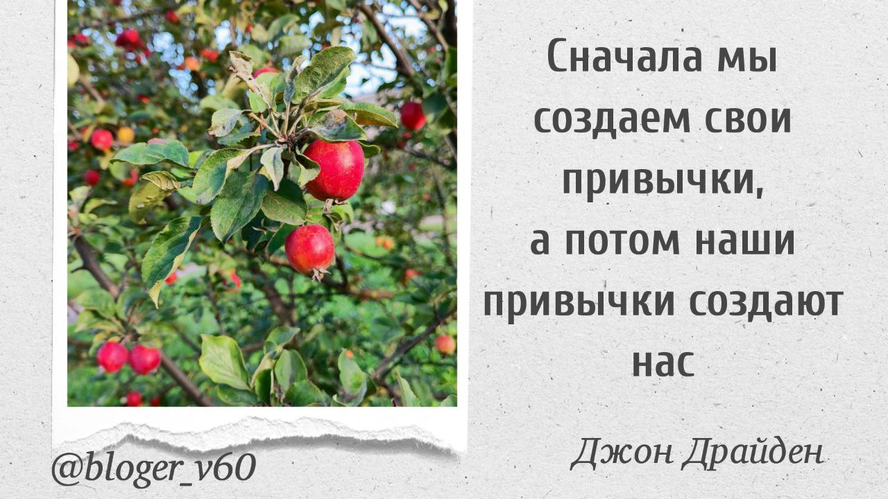 #мышление #мотивация
@blogerv60 | Сетка — социальная сеть от hh.ru