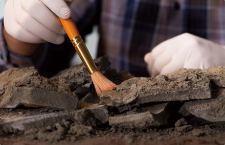 💜💜💜
Поиск технического директора: как вернуть интерес целевого кандидата к предложению?
В новом кейсе от «A.N.T | Сетка — социальная сеть от hh.ru