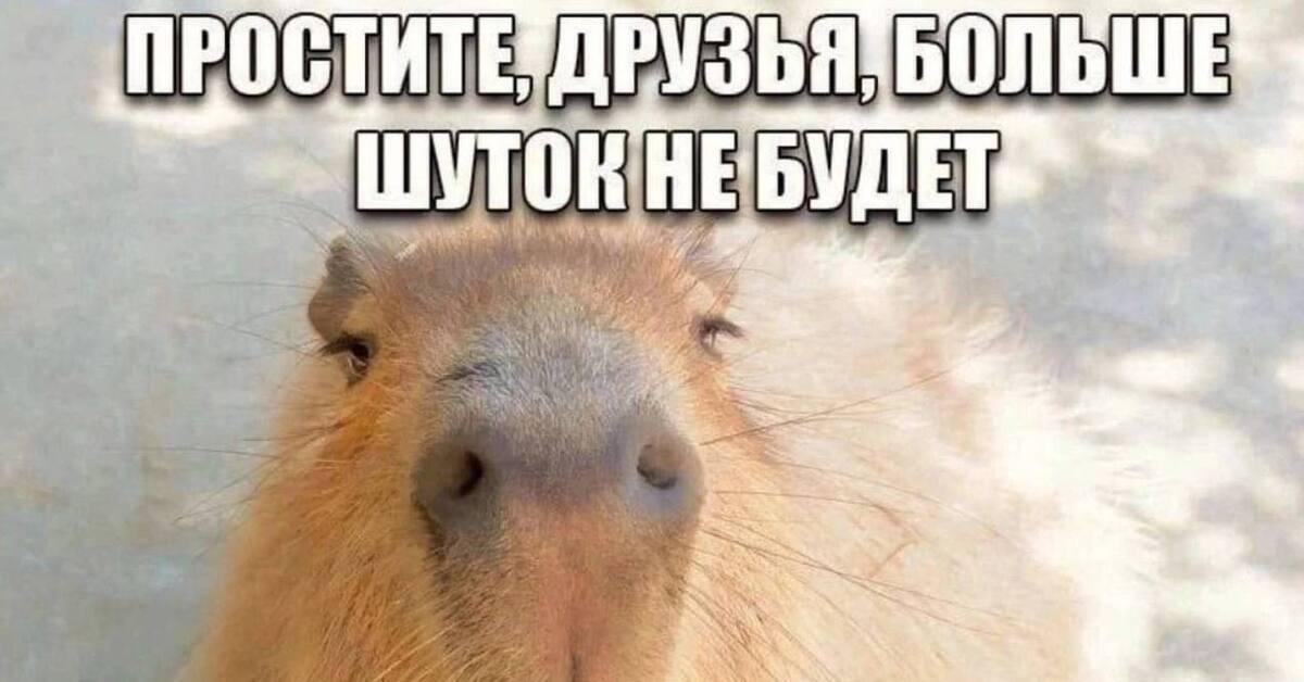 Коллеги, сегодня без шуток!
Мы решили не увлекаться 1 апреля, а направить все усилия на достижение наших рабочих целей.
Трудимся вместе:) | Сетка — социальная сеть от hh.ru