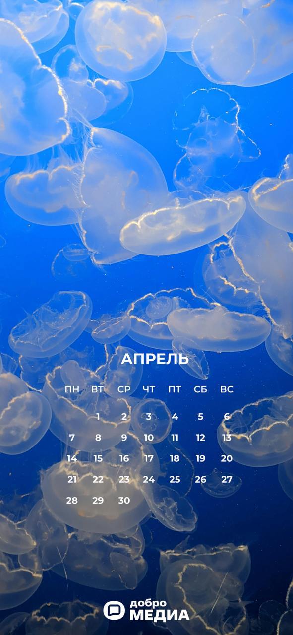 Добро | Сетка — социальная сеть от hh.ru