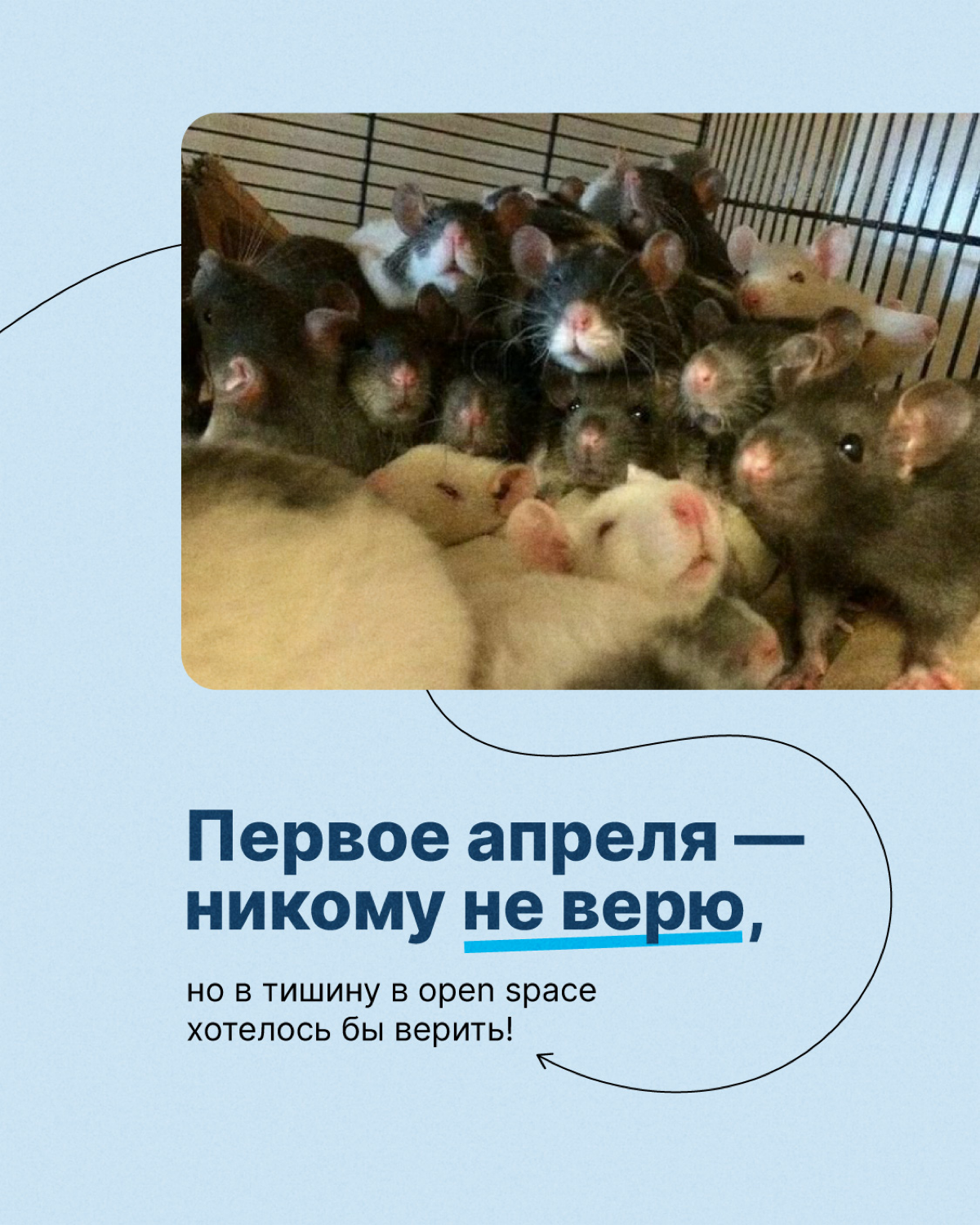 Первое апреля — никому не верим, но… есть вещи, в которые действительно хотелось бы верить! И не только сегодня, а всегда😁
Предлагайте свои варианты в комментариях👇🏻
#тензорлайф | Сетка — социальная сеть от hh.ru