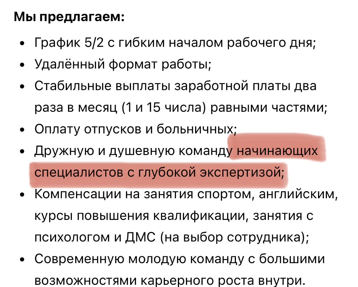 Команда начинающих экспертов 💪 | Сетка — социальная сеть от hh.ru