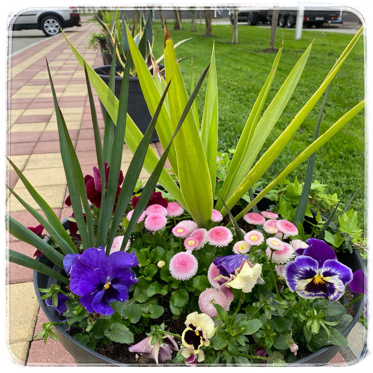 Сочи, семинары для HR | Сетка — социальная сеть от hh.ru