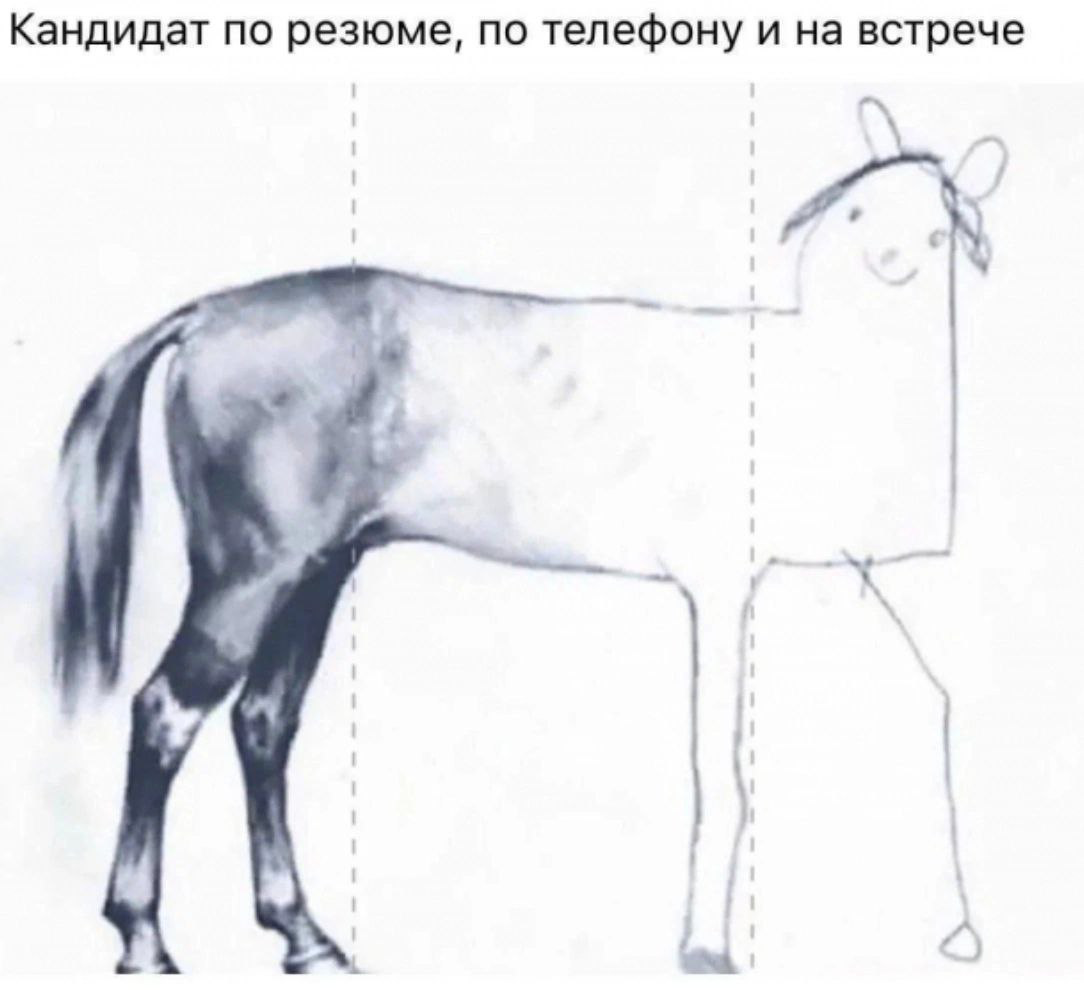 Сетка — социальная сеть от hh.ru