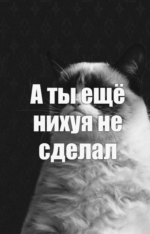24,9% от 2025 года всё.
Осталось 75,1%. И это не шутки. | Сетка — социальная сеть от hh.ru