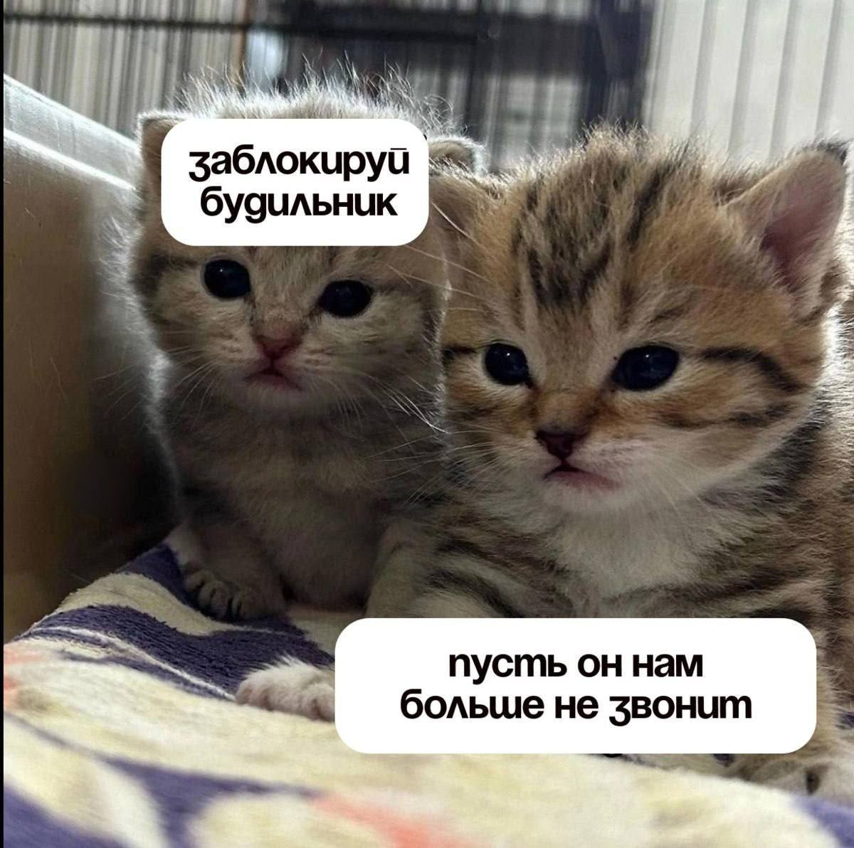 Быть эйчаром, это: | Сетка — социальная сеть от hh.ru