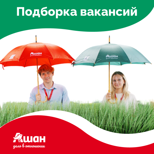 День подборки вакансий | Сетка — социальная сеть от hh.ru