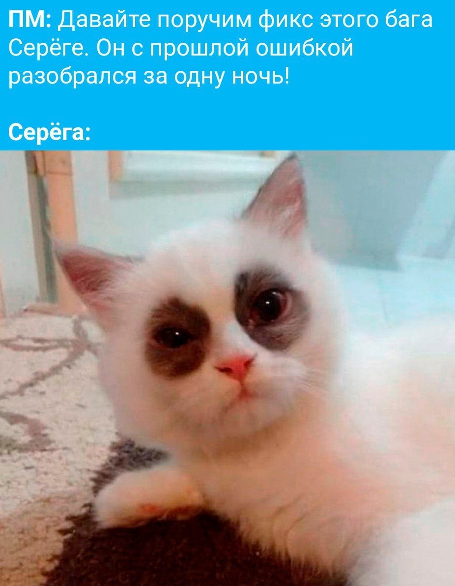 Не будьте Серегой | Сетка — социальная сеть от hh.ru