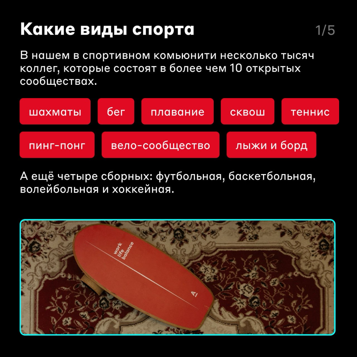 Есть хоть что-то, чего они не могут? 💪 | Сетка — социальная сеть от hh.ru