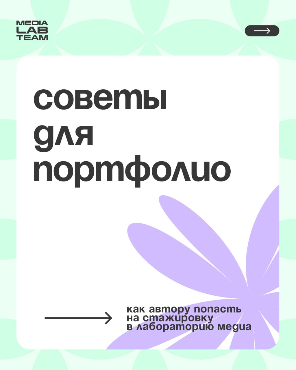Прямо сейчас наши редакторы разбирают отклики авторов-копирайтеров на нашу стажировку с практикой | Сетка — социальная сеть от hh.ru