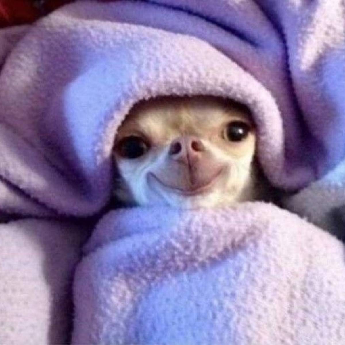 Алексей Парфентьев