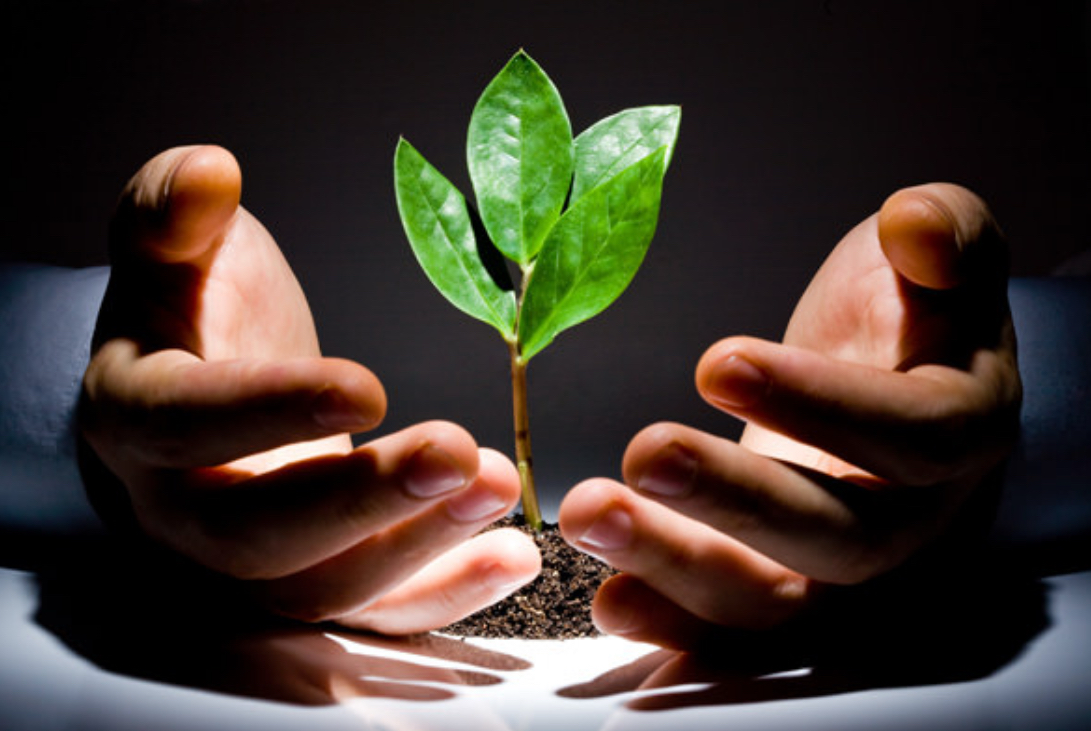 😱 Люди любят вашу компанию, но не выкладываются на 100%? Возможно, вы слишком добрые
Многие уверены, что высокий eNPS (индекс лояльности сотрудников) — это рецепт вечной любви к компании | Сетка — социальная сеть от hh.ru