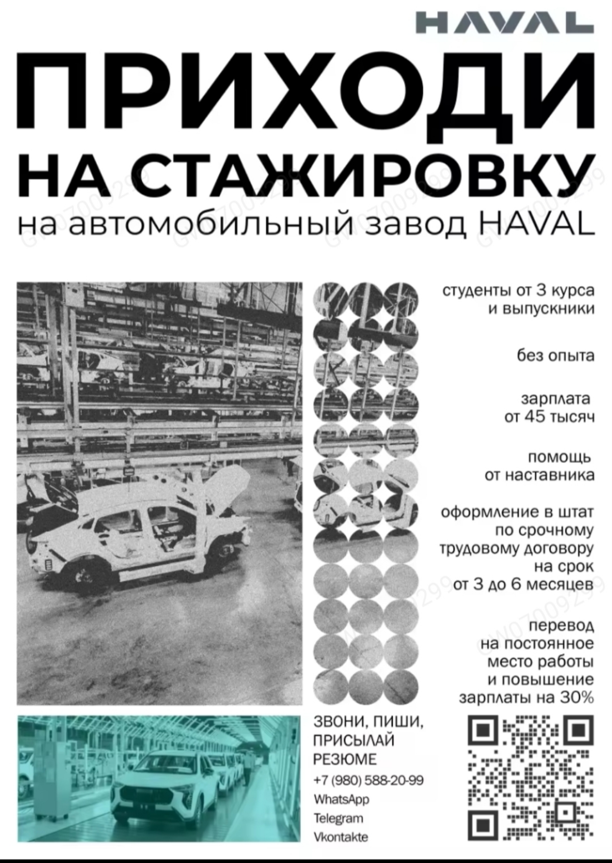 Будущее за молодыми специалистами | Сетка — социальная сеть от hh.ru