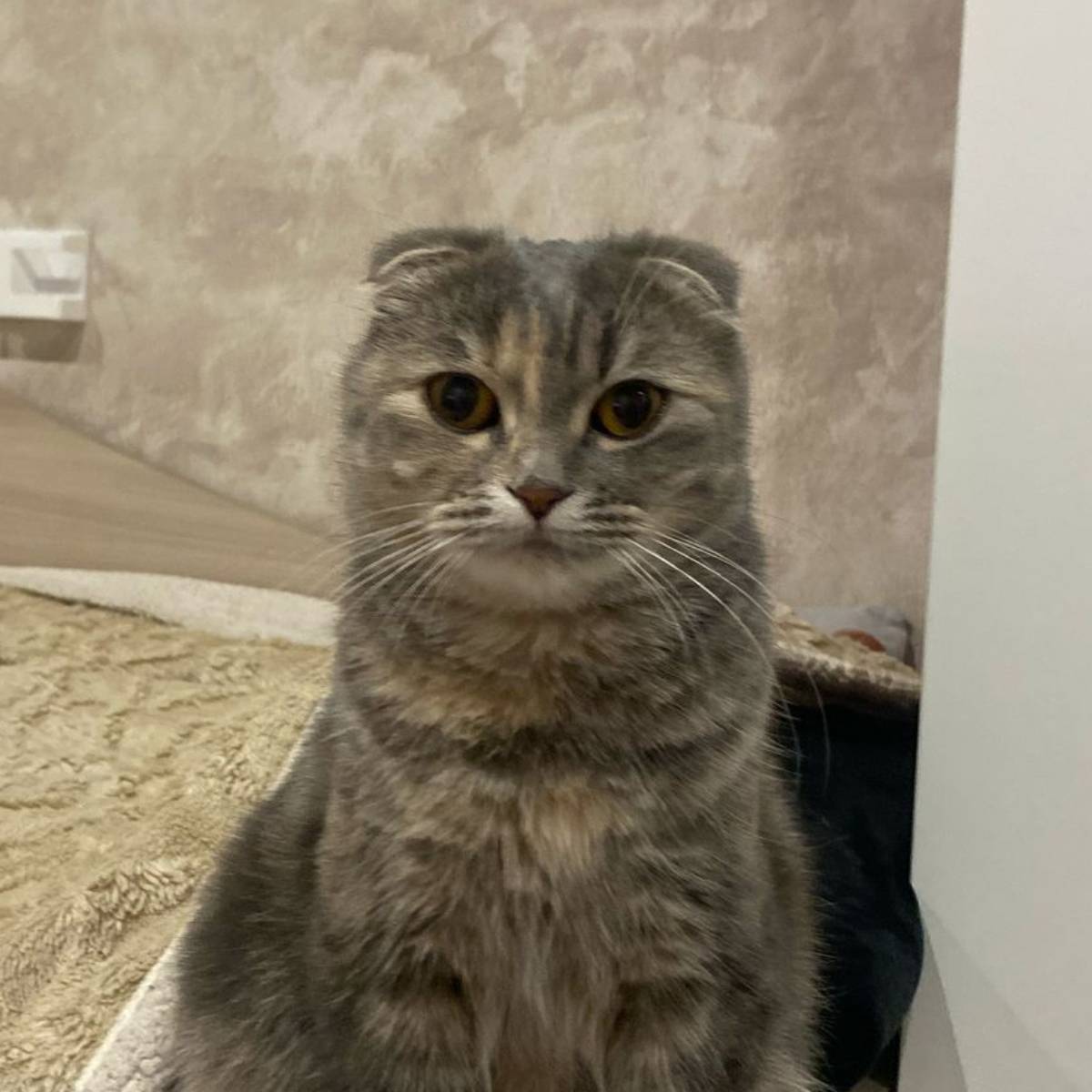 Татьяна Коляскина