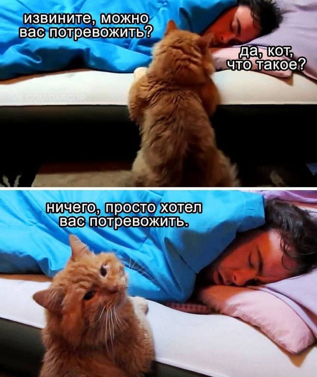 Доброе утро, ставропольцы! | Сетка — социальная сеть от hh.ru