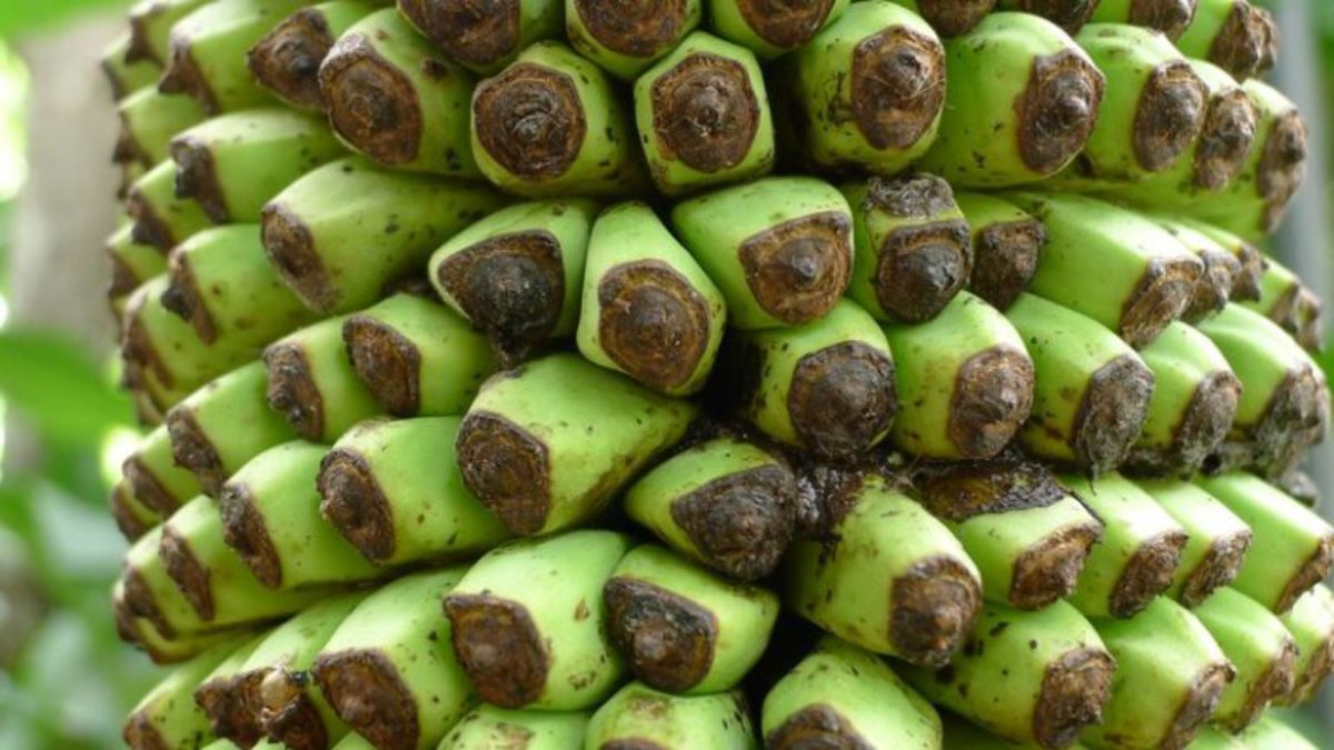 Опасно малое сопротивление: как справиться с соблазнами | Сетка — социальная сеть от hh.ru