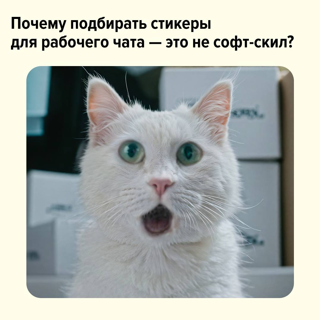 Открываем своё резюме — видим целый список hard- и soft-навыков: я и историк, и футболист, и профессиональный фотограф 📝
Давайте честно. Какой навык оказался самым полезным в работе? | Сетка — социальная сеть от hh.ru