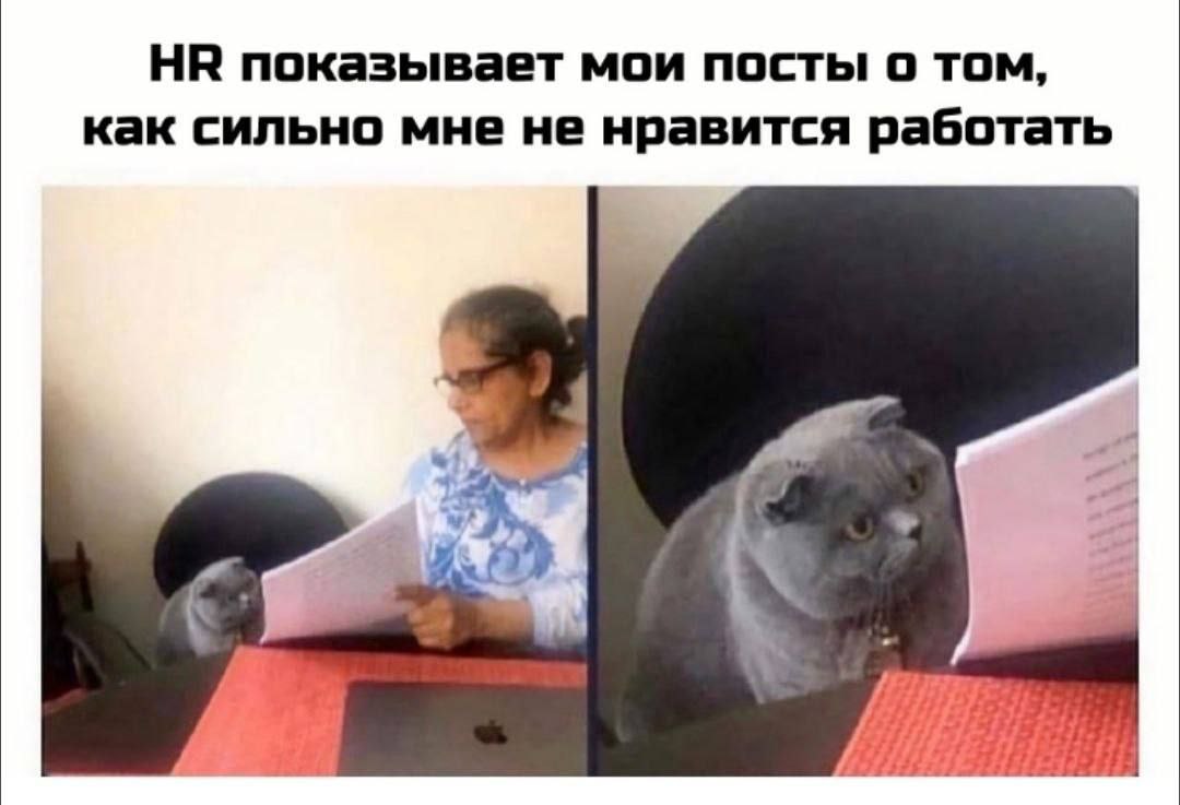 Просчитался, но где…
#IT
😂 Твой Пакет Мемов
🛍 Другие каналы | Сетка — социальная сеть от hh.ru
