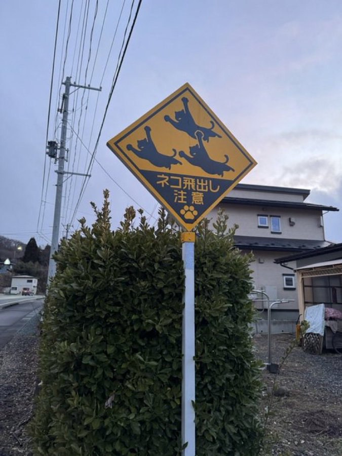 🇯🇵 В Японии появились знаки, предупреждающие о внезапном… пушистом препятствии. Да-да, не лось, не олень — кот | Сетка — социальная сеть от hh.ru