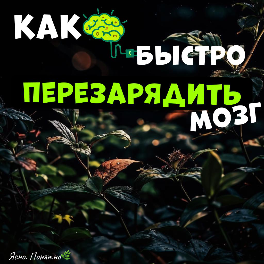 «Ваш мозг в 17:00 — это сдувшийся шарик. Как накачать его за 5 минут?»  
 
Привет, офисный альпинист | Сетка — социальная сеть от hh.ru