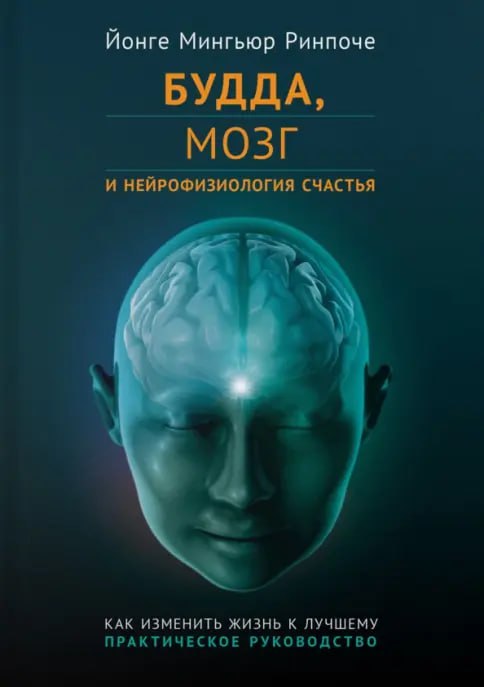 Йонге Мингьюр Ринпоче, «Будда, мозг и нейрофизиология счастья. Как изменить жизнь к лучшему»
С медитацией у меня сложные отношения – целая Санта-Барбара | Сетка — социальная сеть от hh.ru