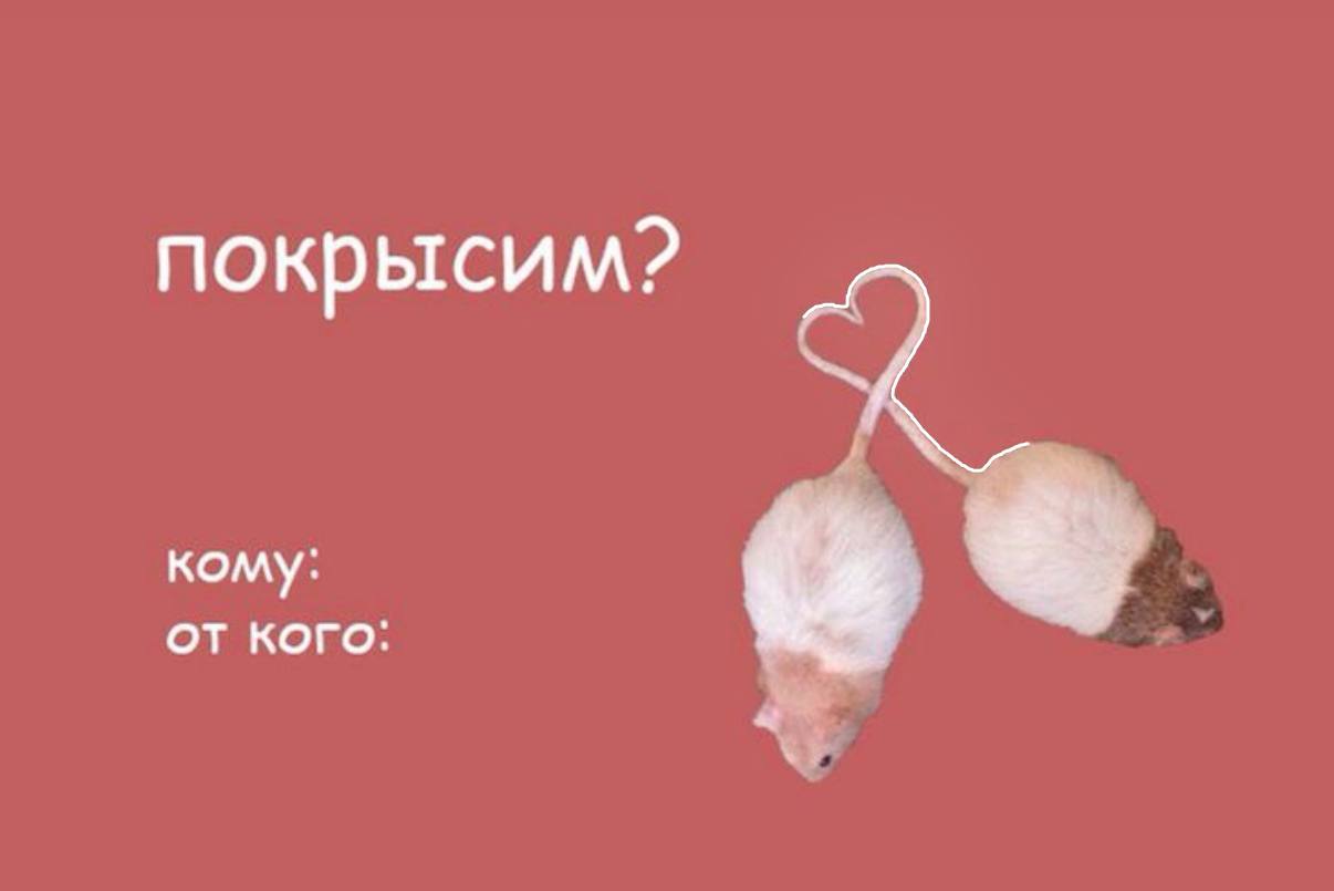 Сегодня - Всемирный день крысы
Вы знаете, что делать 👩‍🍳
Оформить подписку на молодость | Сетка — социальная сеть от hh.ru
