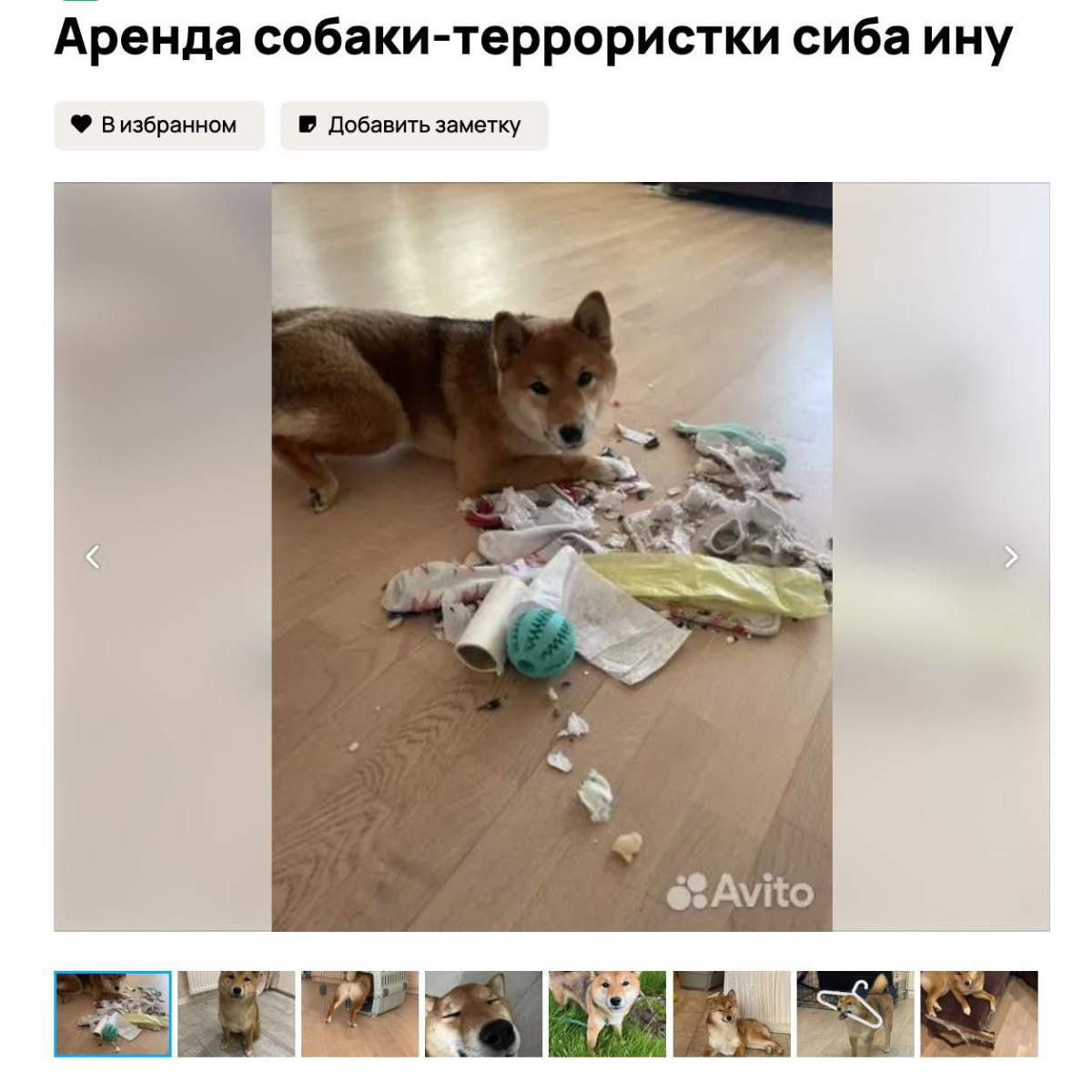Взрывная стратегия для продвижения на Авито! | Сетка — социальная сеть от hh.ru