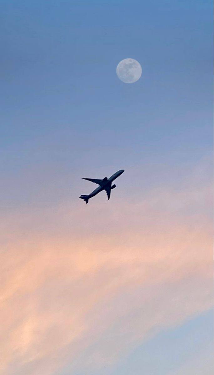 ✈️ Прямое авиасообщение между Россией и Абхазией начнется с 1 маяКак относитесь к такой новости?
❤️ — Наконец-то
😁 — Лучше на поезде поеду
😎 — Отдыхаю в других местах
📲Подпишитесь на Вдвижении | Сетка — социальная сеть от hh.ru