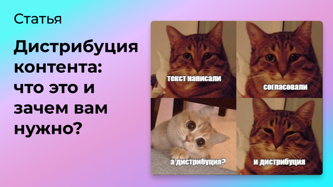 Что такое дистрибуция и как она помогает развивать блог | Сетка — социальная сеть от hh.ru