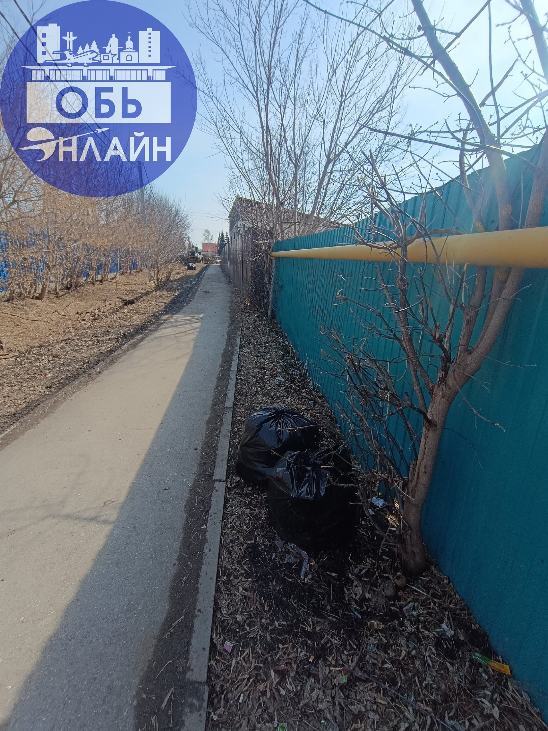 ↗ Город приобретает " Чистый внешний вид"
Главное что бы оперативно вывезли и собаки не растерзали пакеты.
Спасибо всем кто не проходит мимо мусора
#КтоеслинеТы?
vk.com
Подробнее на https://vk.com/ob | Сетка — социальная сеть от hh.ru