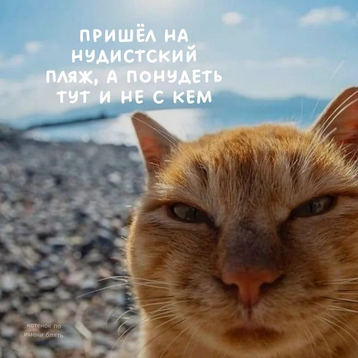 Кандидаты с чувством юмора | Сетка — социальная сеть от hh.ru