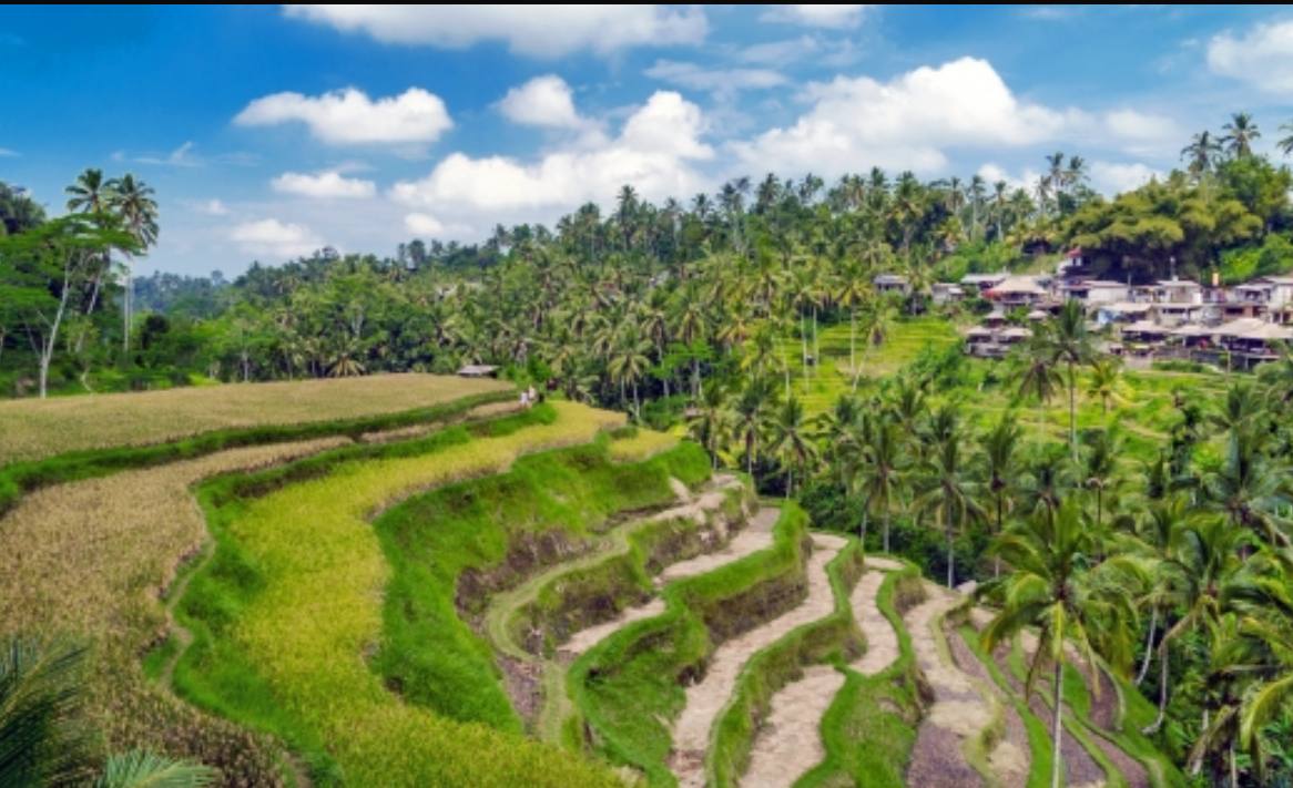 #рекламныйтур #мероприятиядлятурагентов 
Последние места в рекламные туры от туроператора ПАКС
✔️ Рекламный тур «Остров Богов – новый взгляд» МУЖСКОЕ МЕСТО❗
Бали (12д) – Нуса Пениса (1д)
22.05-02 | Сетка — социальная сеть от hh.ru