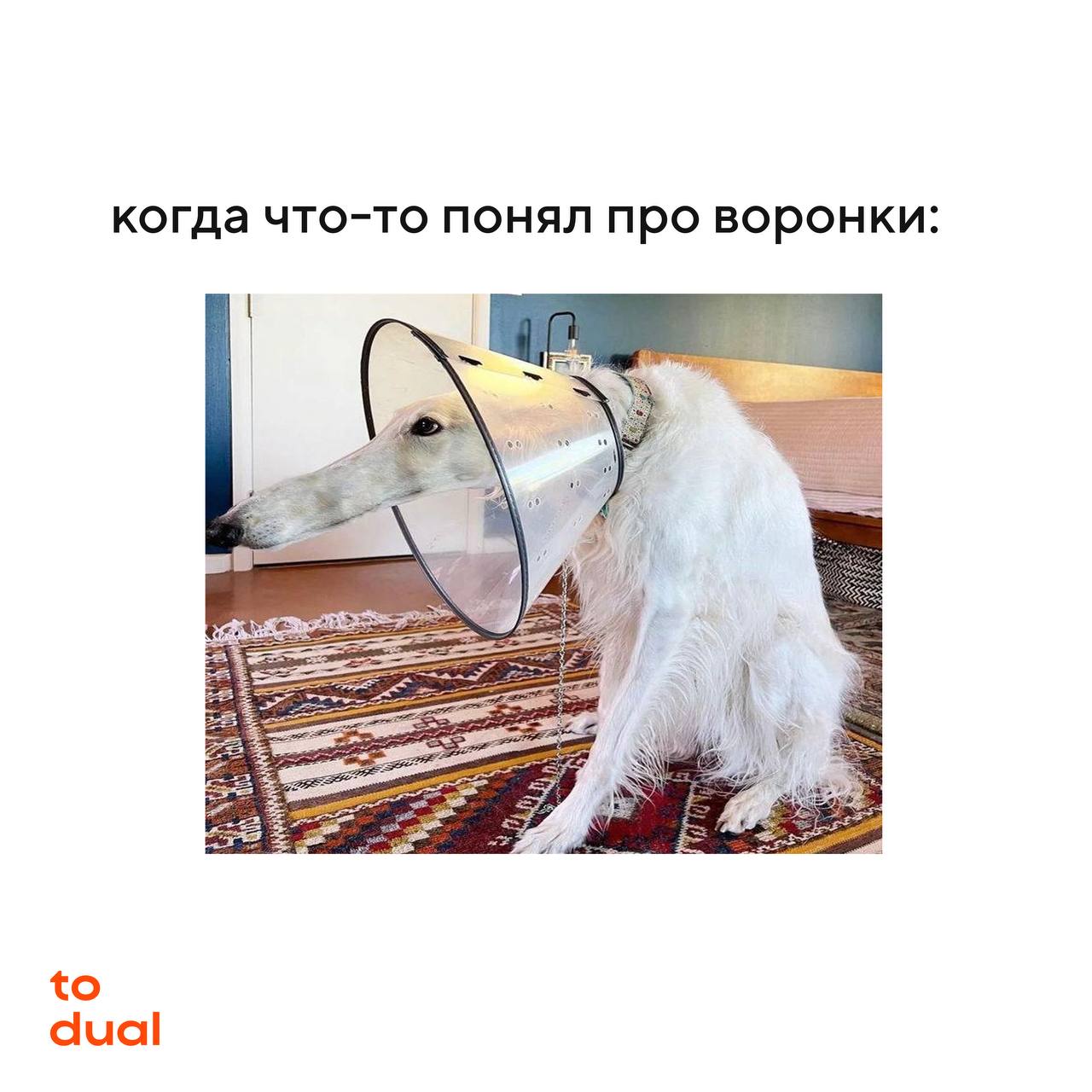 Внимание! Каждую пятницу — только мемы
от Алисы Юрченко (@smmnedlyavsex), спринтлида «Контент, который конвертит».
Тема сегодняшнего поста: каждый из нас на старте обучения в диджитале. | Сетка — социальная сеть от hh.ru