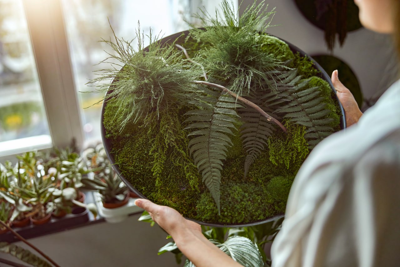 🌿 Живые растения в интерьере: плюсы и минусы 🌿
Живые растения делают пространство уютнее, но требуют особого ухода!
✅ Плюсы живых растений:
✔️ Очищают воздух – поглощают углекислый газ и выделяют кисл... | Сетка — социальная сеть от hh.ru