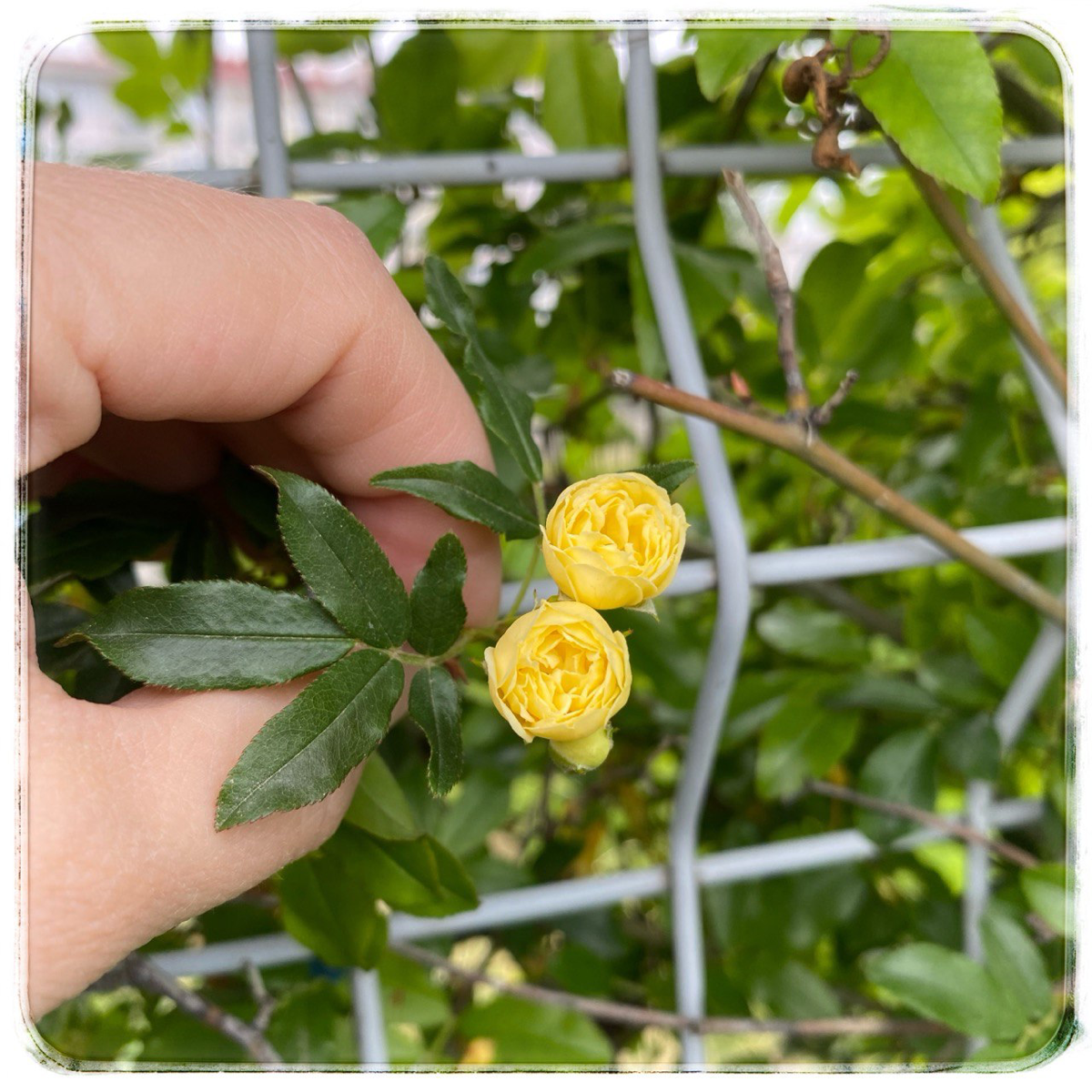 HR-ов ничем не удивить | Сетка — социальная сеть от hh.ru