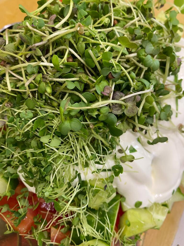 🌱 Микрозелень семян чиа придает выносливость и заряжает энергией на продолжительное время, улучшает память и иммунитет, репродуктивные функции организма, снимает спазмы и судороги в мышцах | Сетка — социальная сеть от hh.ru