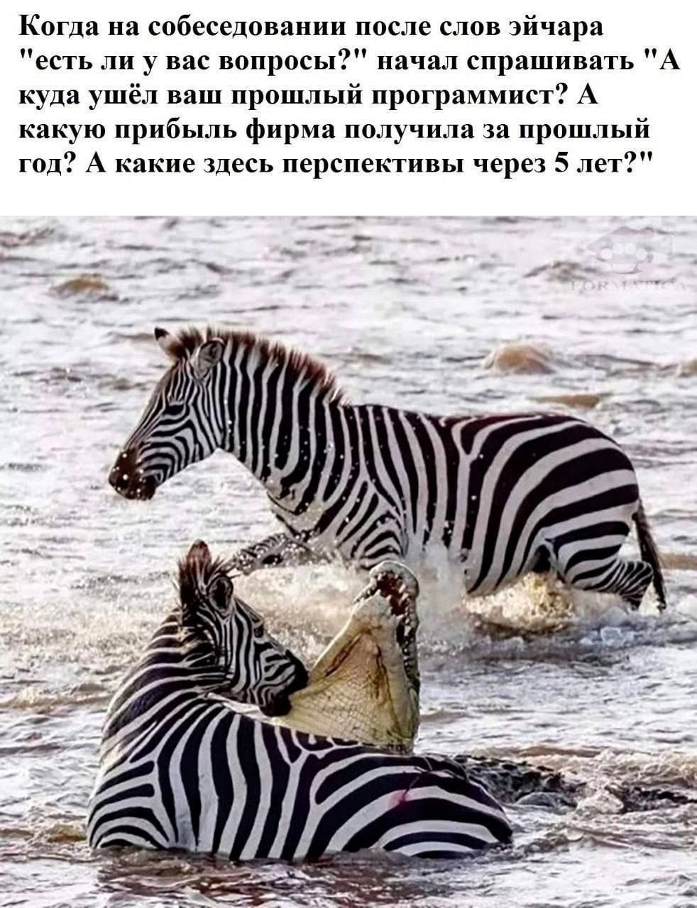 #IT
😂 Твой Пакет Мемов
🛍 Другие каналы | Сетка — социальная сеть от hh.ru