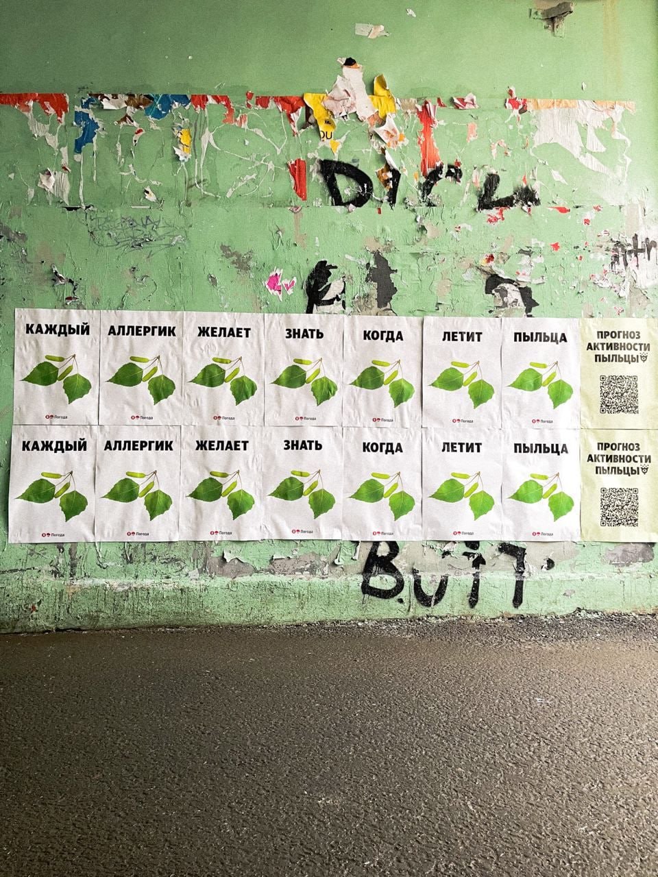 В зонах, где активность пыльцы будет очень высока, появились таблички и постеры, от которых хочется чихнуть | Сетка — социальная сеть от hh.ru