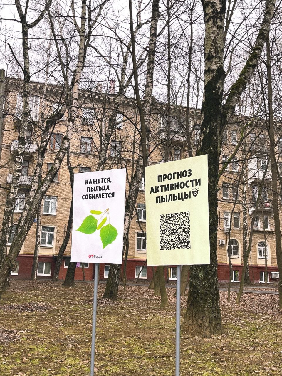 В зонах, где активность пыльцы будет очень высока, появились таблички и постеры, от которых хочется чихнуть | Сетка — социальная сеть от hh.ru