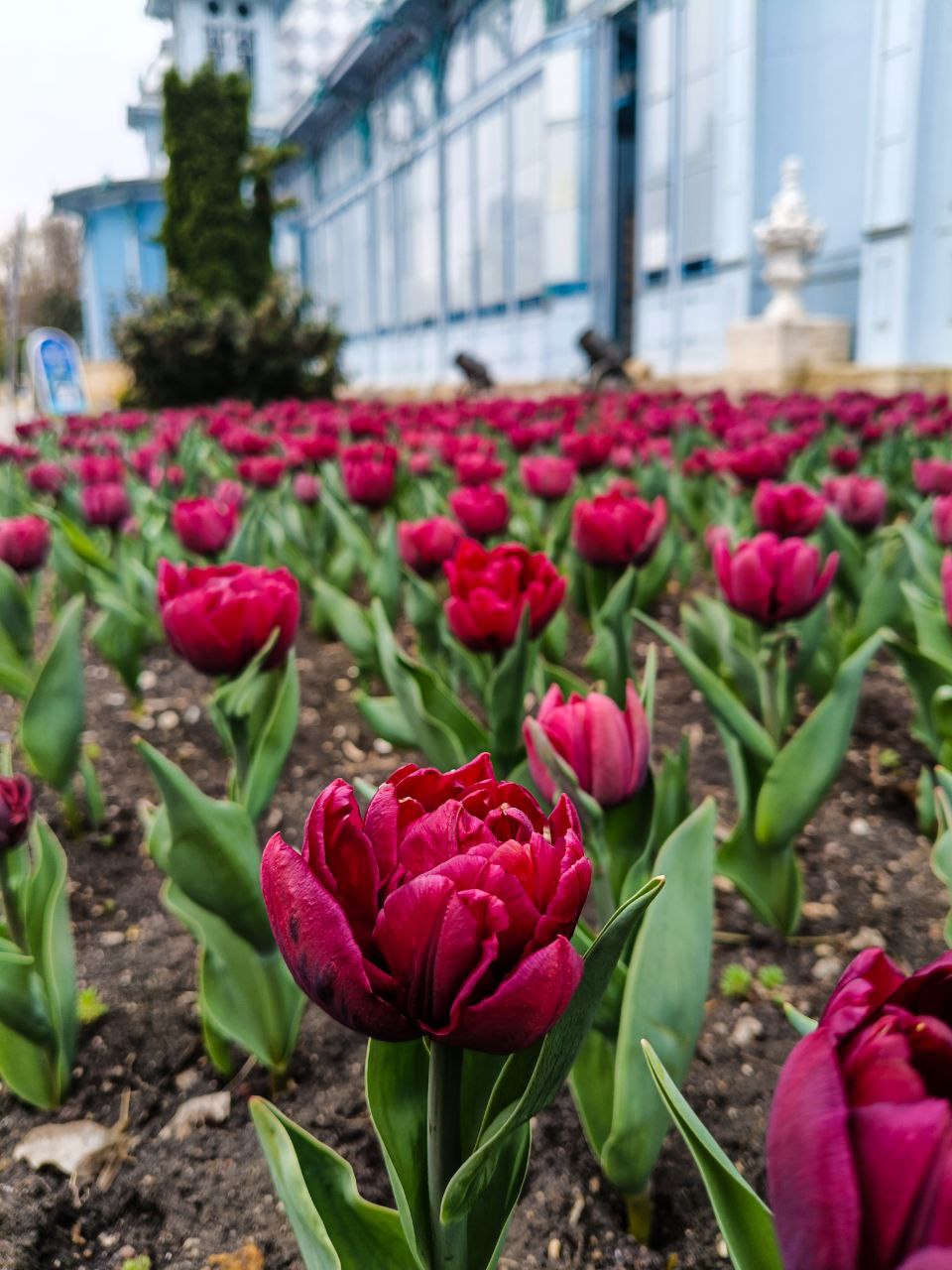 🌷🤩Весна в Железноводске!
...вид возрождающейся природы благотворно действует на самого сонливого человека; все принимает какой-то необычный, праздничный оттенок, все одевается радужными цветами.
М.Е | Сетка — социальная сеть от hh.ru