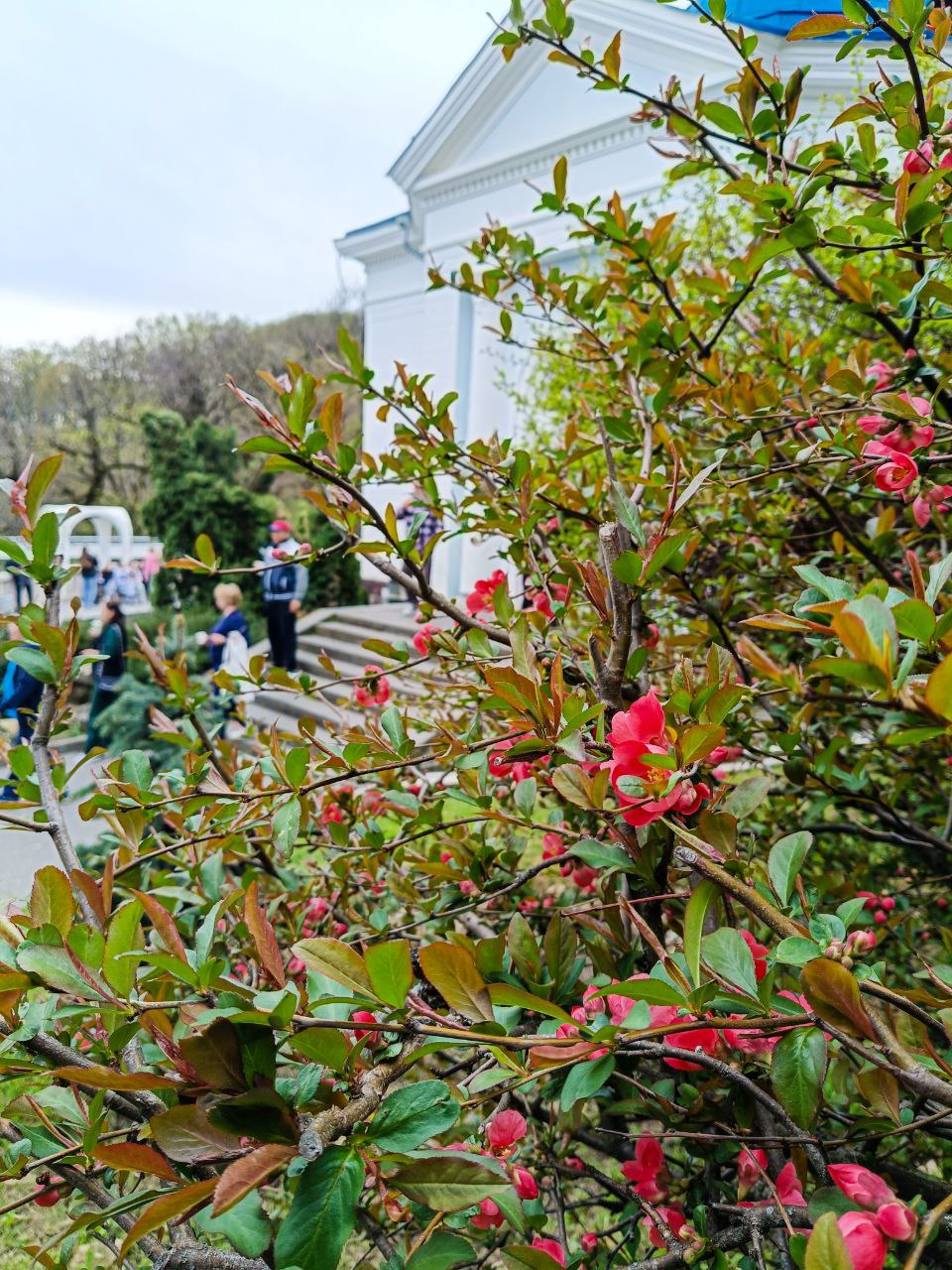 🌷🤩Весна в Железноводске!
...вид возрождающейся природы благотворно действует на самого сонливого человека; все принимает какой-то необычный, праздничный оттенок, все одевается радужными цветами.
М.Е | Сетка — социальная сеть от hh.ru