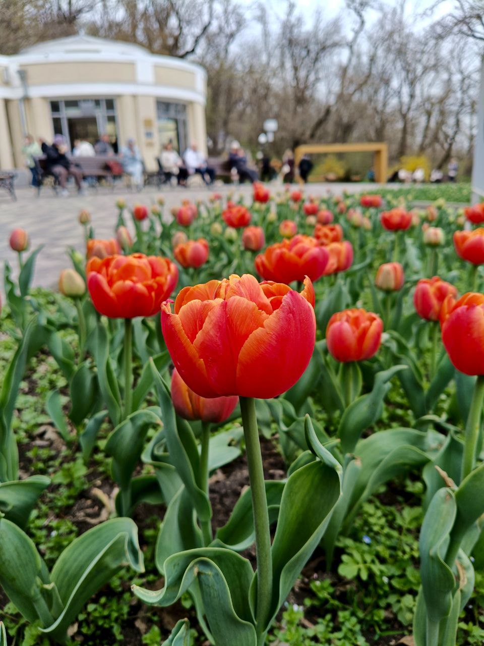 🌷🤩Весна в Железноводске!
...вид возрождающейся природы благотворно действует на самого сонливого человека; все принимает какой-то необычный, праздничный оттенок, все одевается радужными цветами.
М.Е | Сетка — социальная сеть от hh.ru