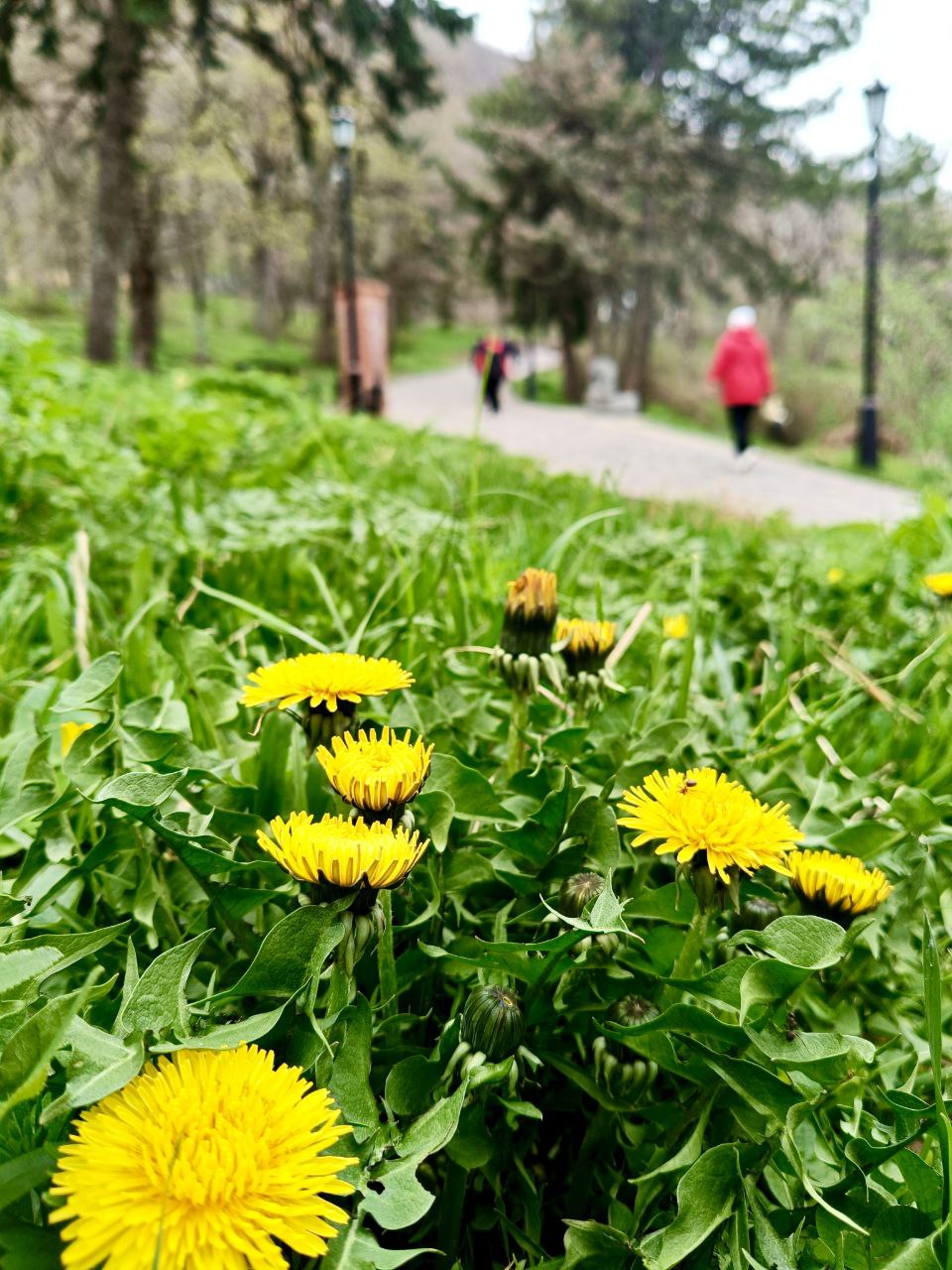 🌷🤩Весна в Железноводске!
...вид возрождающейся природы благотворно действует на самого сонливого человека; все принимает какой-то необычный, праздничный оттенок, все одевается радужными цветами.
М.Е | Сетка — социальная сеть от hh.ru