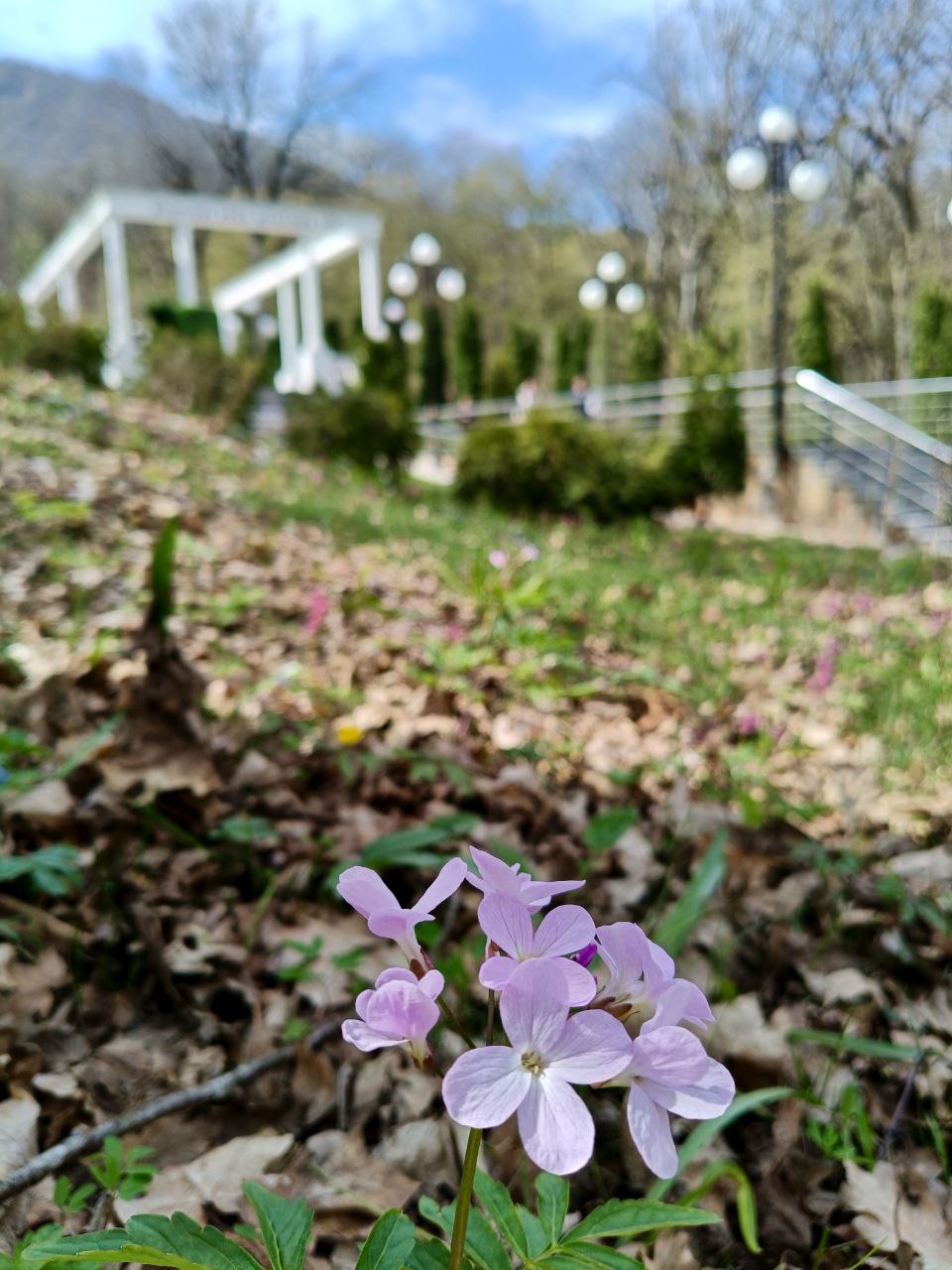 🌷🤩Весна в Железноводске!
...вид возрождающейся природы благотворно действует на самого сонливого человека; все принимает какой-то необычный, праздничный оттенок, все одевается радужными цветами.
М.Е | Сетка — социальная сеть от hh.ru