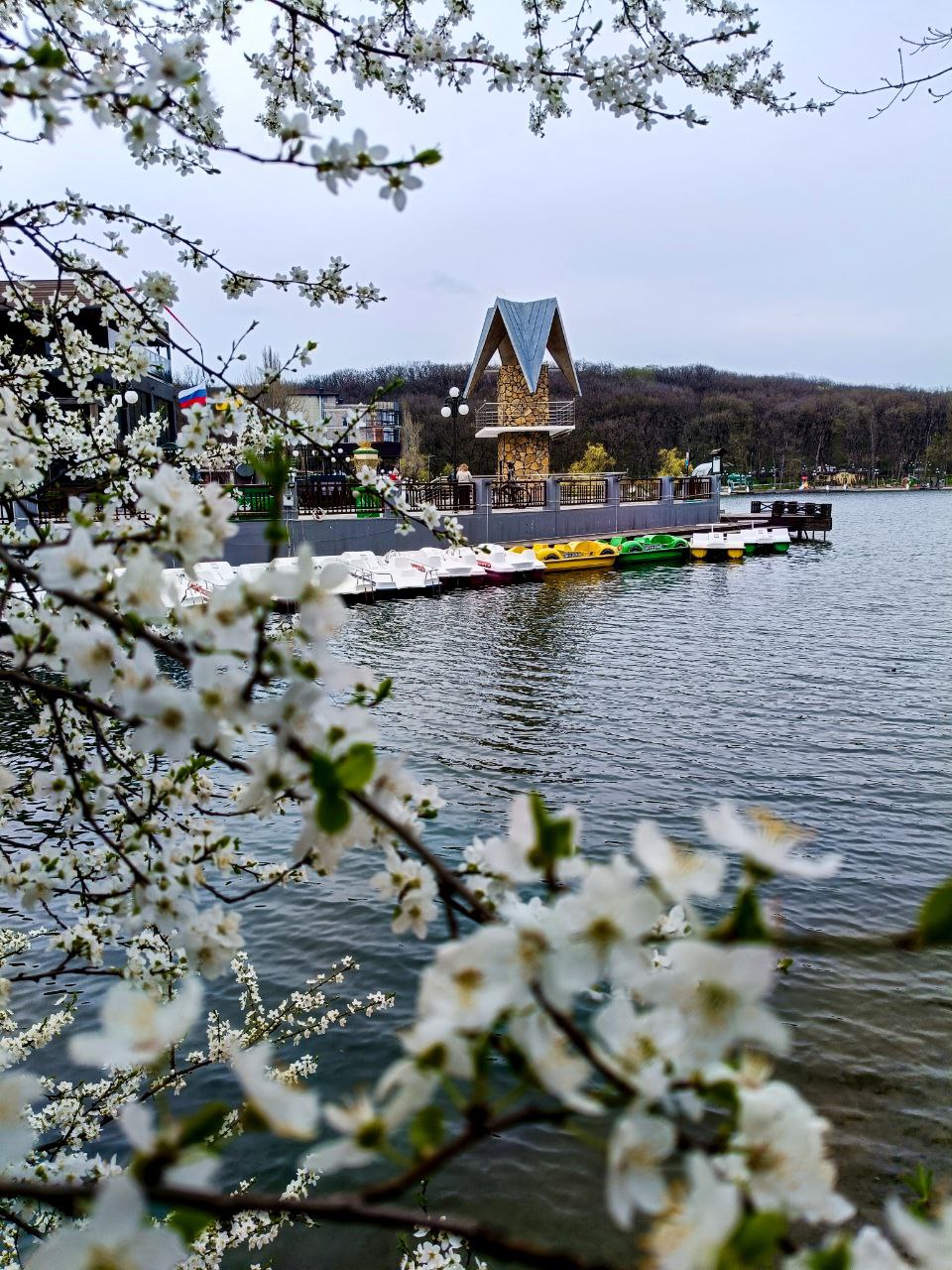 🌷🤩Весна в Железноводске!
...вид возрождающейся природы благотворно действует на самого сонливого человека; все принимает какой-то необычный, праздничный оттенок, все одевается радужными цветами.
М.Е | Сетка — социальная сеть от hh.ru