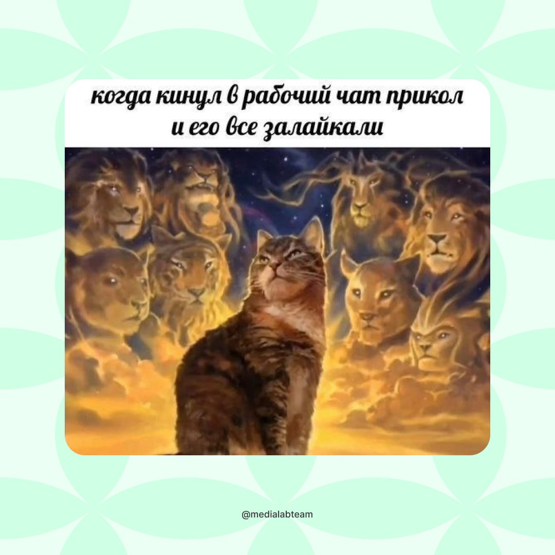 Ну это прям жизааа. Есть тут такие же?)
@medialabteam 🤍 | Сетка — социальная сеть от hh.ru