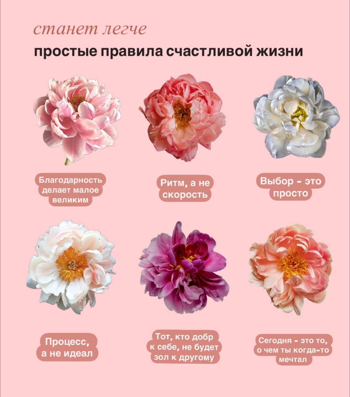Быть счастливым просто. Не так ли? | Сетка — социальная сеть от hh.ru